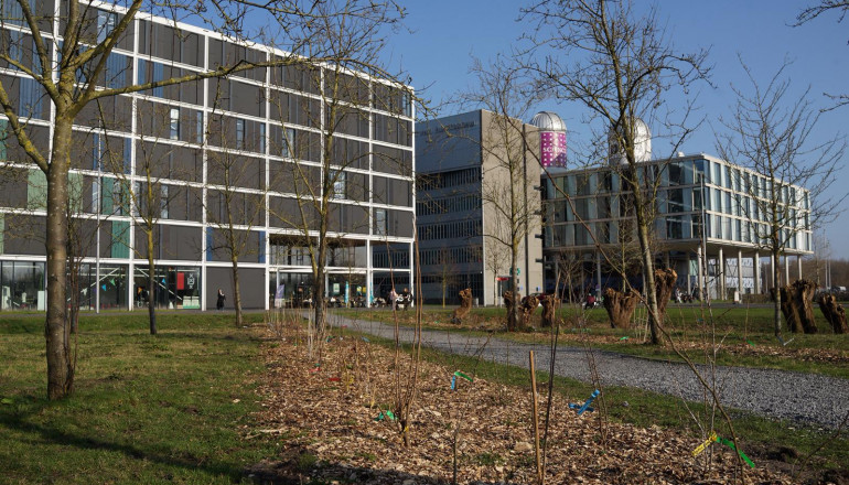 Erehaag 750 jaar Amsterdam